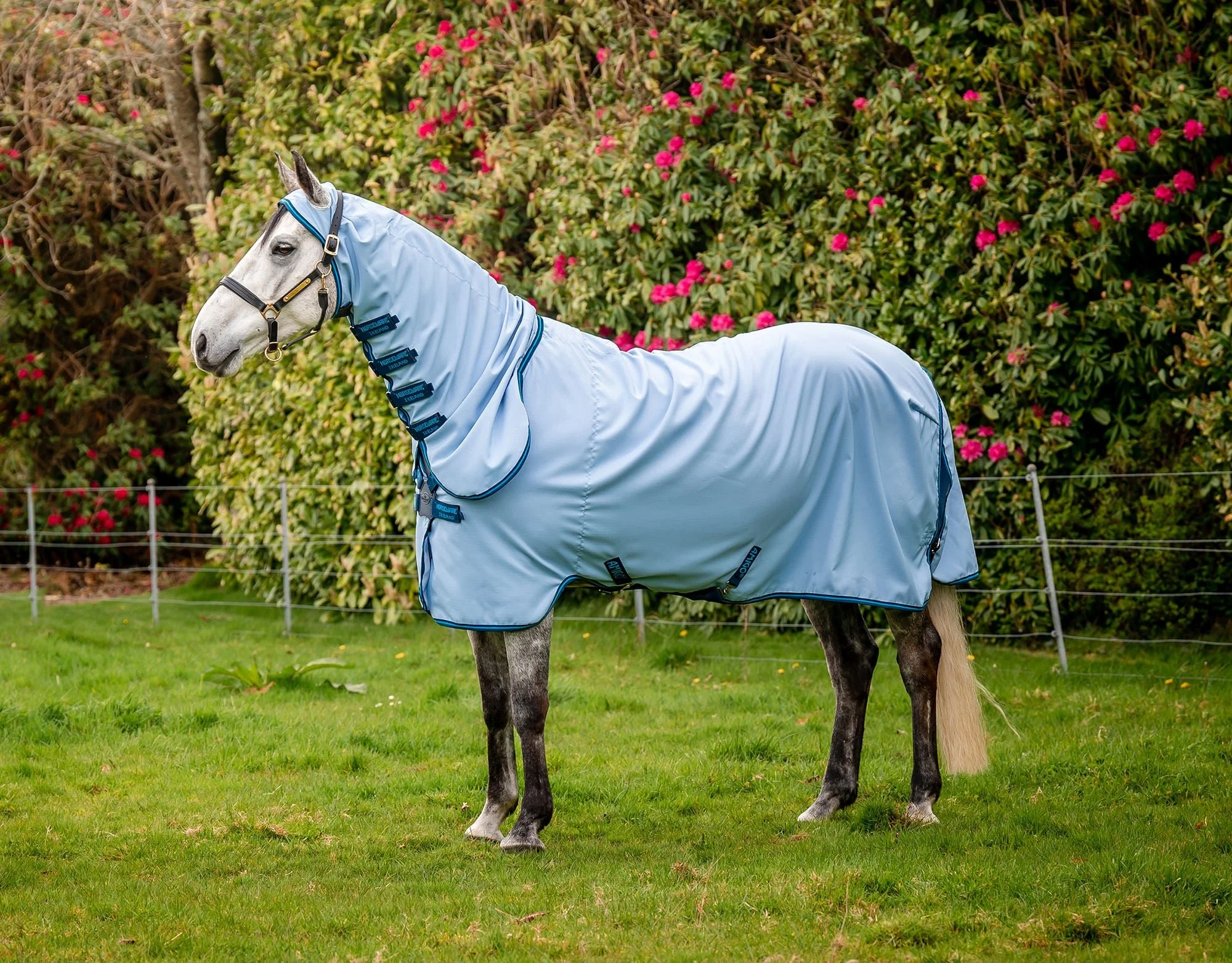Amigo Ripstop Hoody Horse Fly Sheet - Pet's Shop