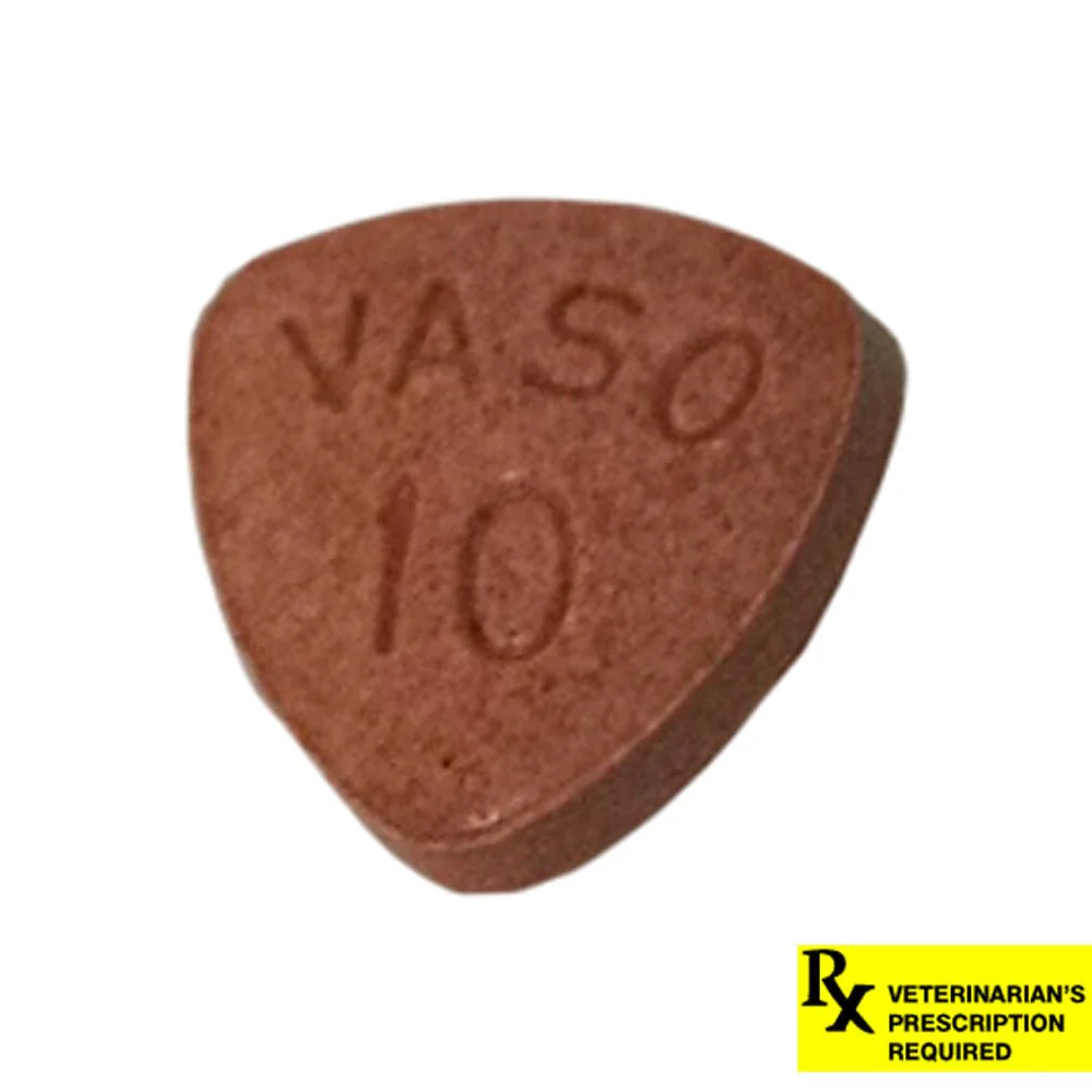 Rx Enalapril (Generic) Tablets for Dogs & Cats - Pet's Shop