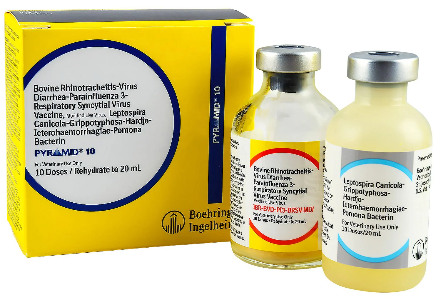 Pyramid 10 - Pet's Shop