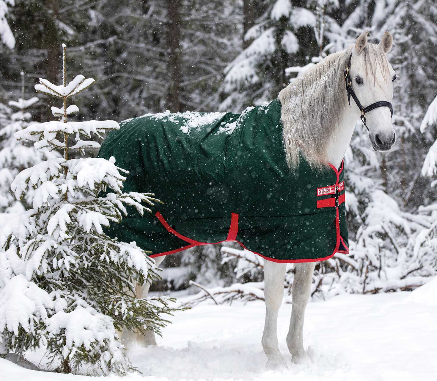 Rambo Original, 400g Heavy, Green/Red - Pet's Shop