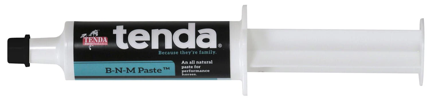 B-N-M Paste, 60 cc Syringe - Pet's Shop