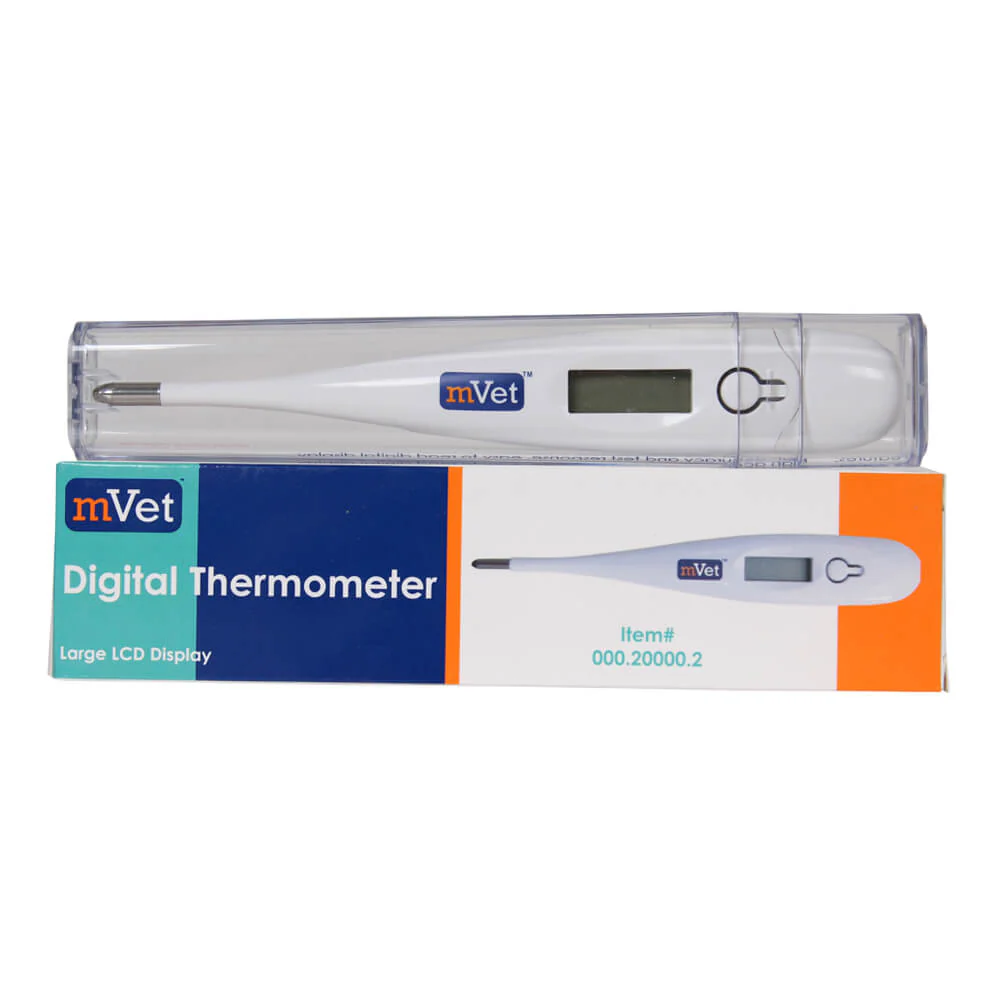 mVet Digital Thermometer - Pet's Shop
