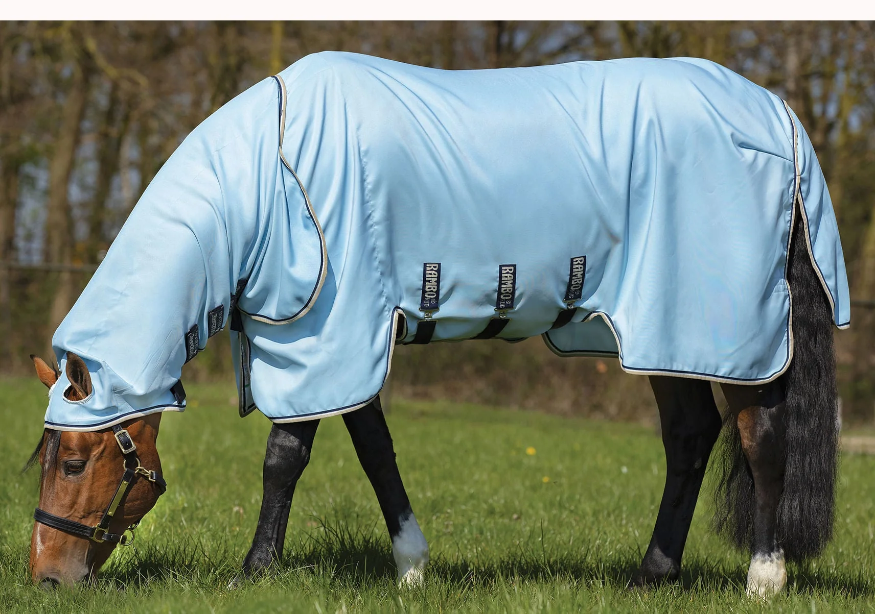 Rambo Hoody Vamoose with No-Fly Zone Horse Fly Sheet - Pet's Shop
