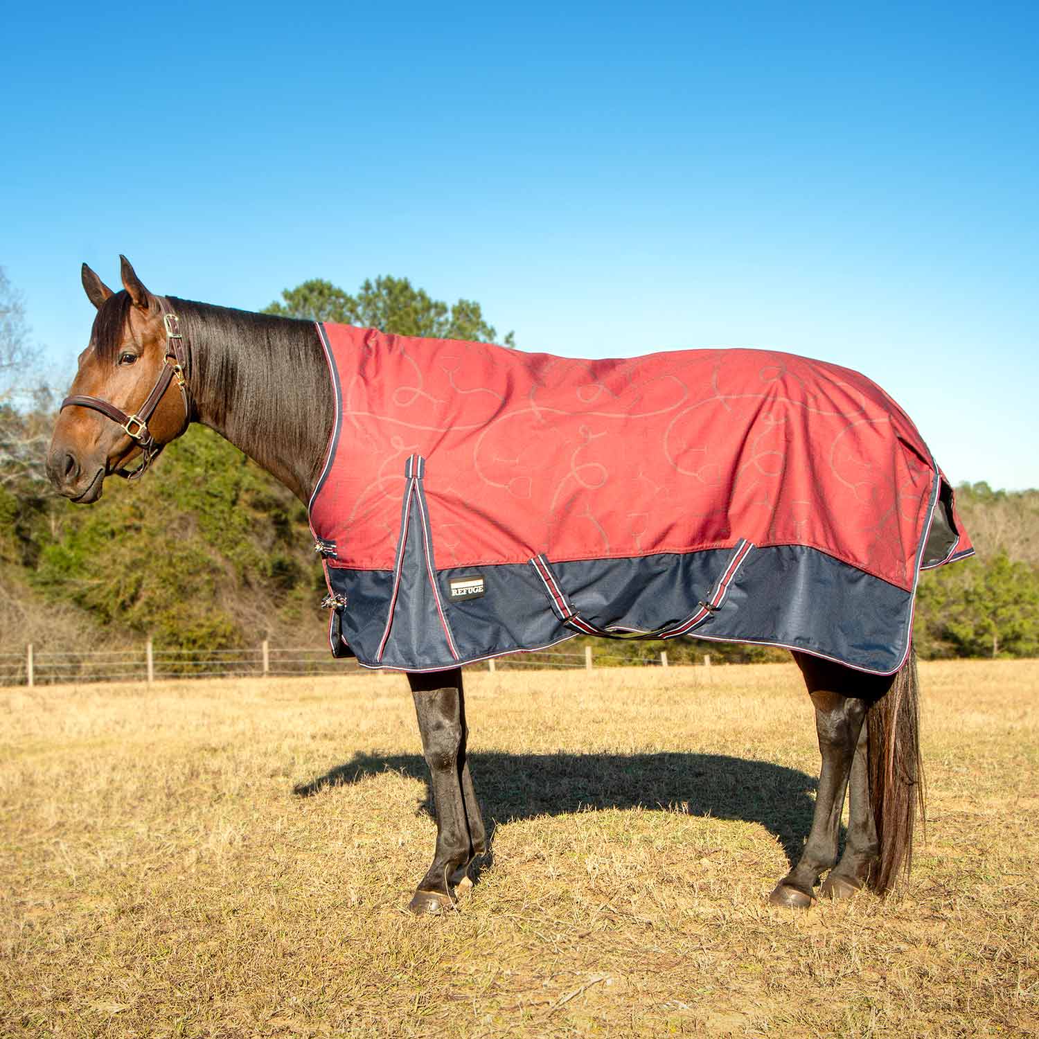Poplar Head Uniquely English 1200 Denier Turnout Blanket with High Neck, 240 Gram, Merlot Snaffles & Irons - Pet's Shop