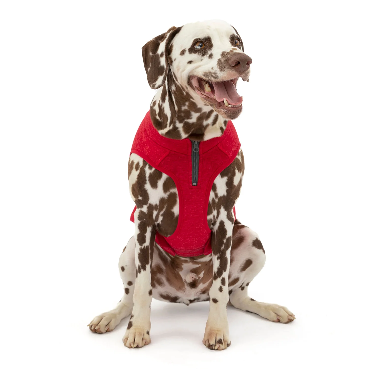 Kurgo K9 Core Sweater - Pet's Shop