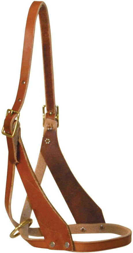 Riveted Figure 8 Foal Breakaway Halter - Pet's Shop