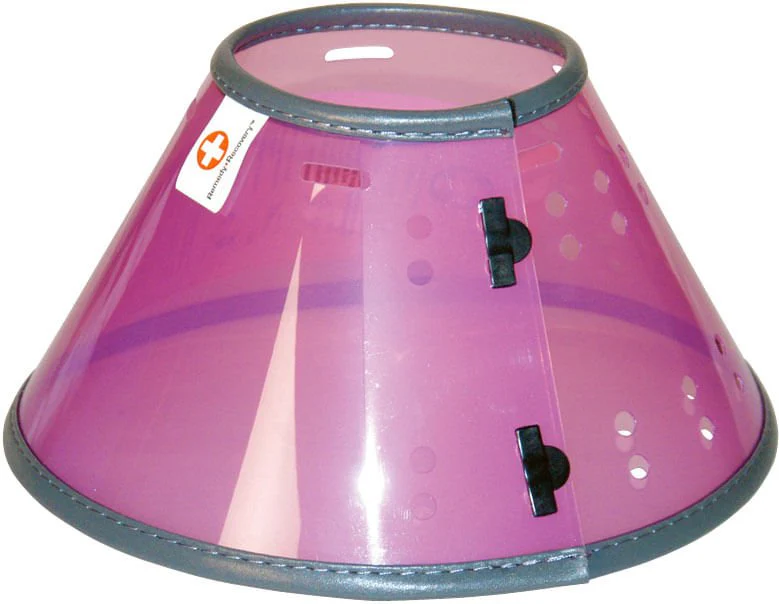 Remedy+Recovery Pet Collar - Pet's Shop