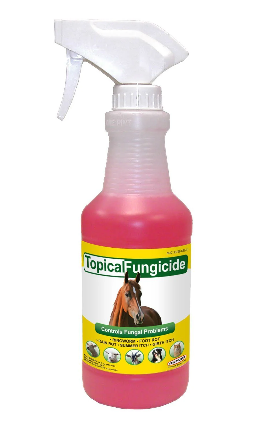 Topical Fungicide, 32 oz - Pet's Shop