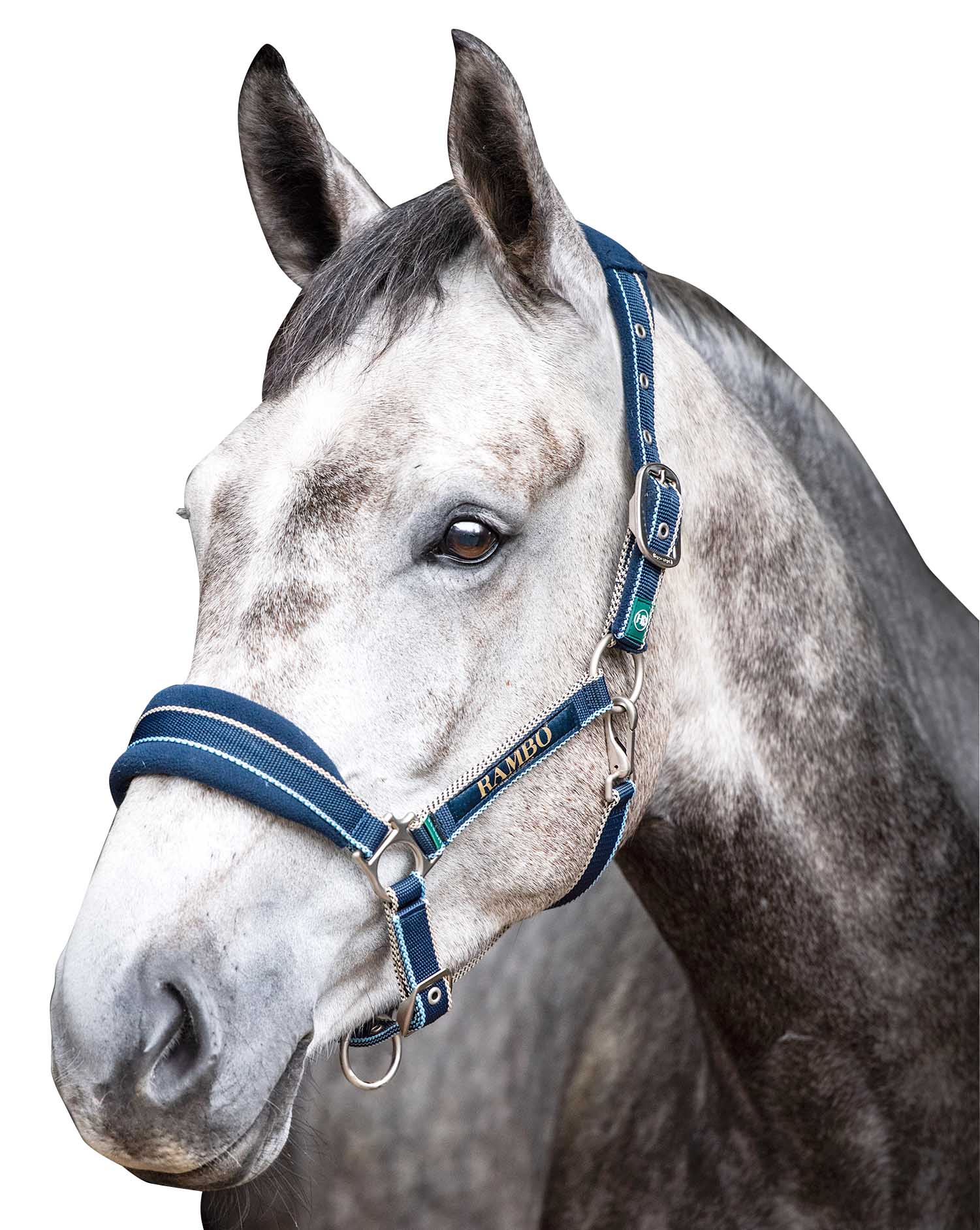 Rambo Padded Halter, Witney Navy - Pet's Shop