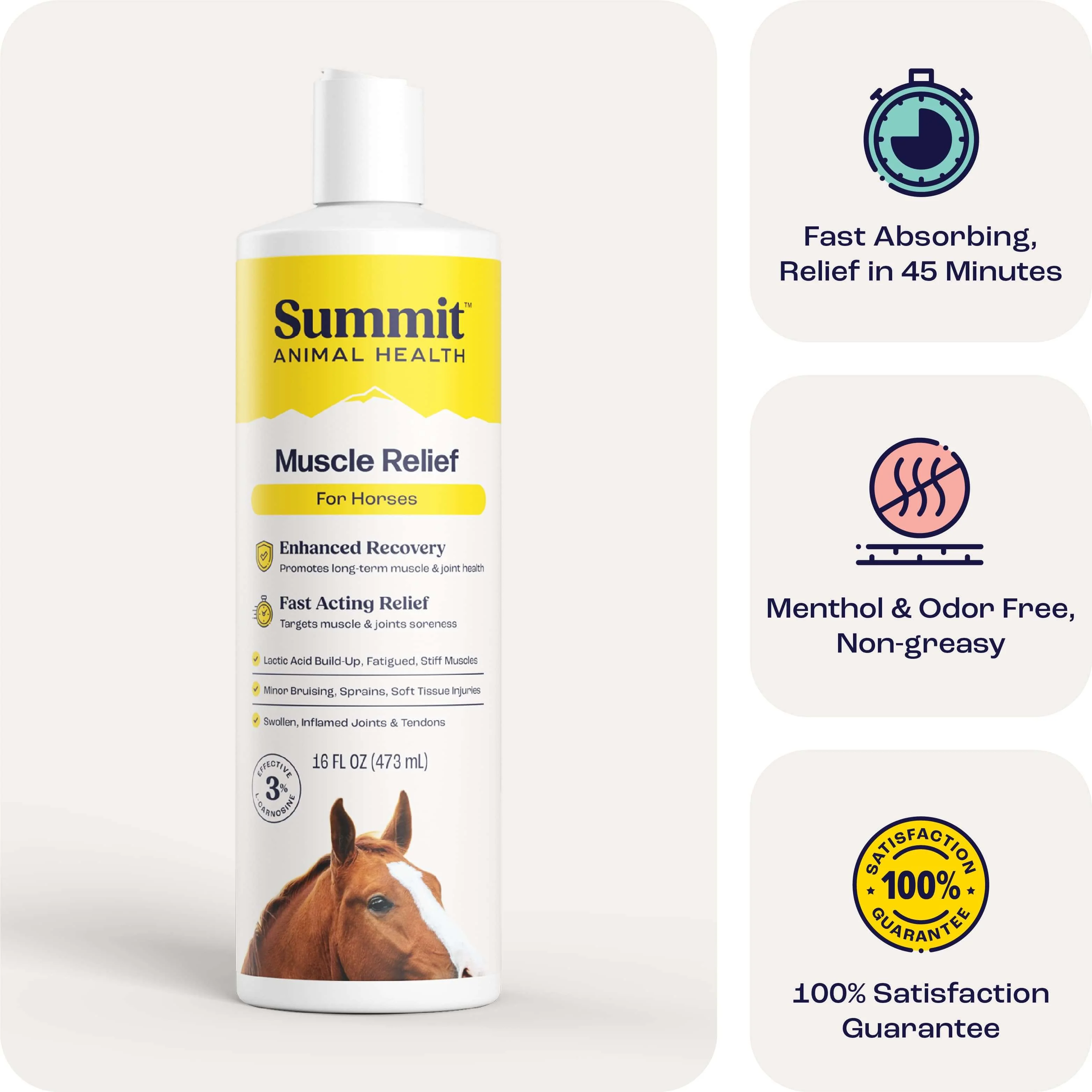 Summit Animal Health - Muscle Relief for Horses, 16 oz - Pet's Shop