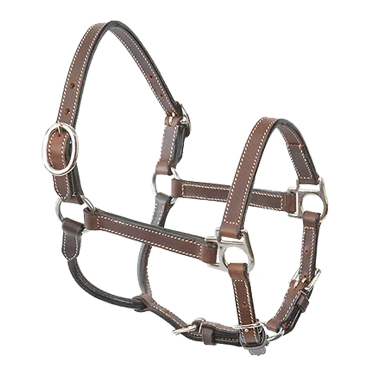 Pony Leather Halter - Pet's Shop