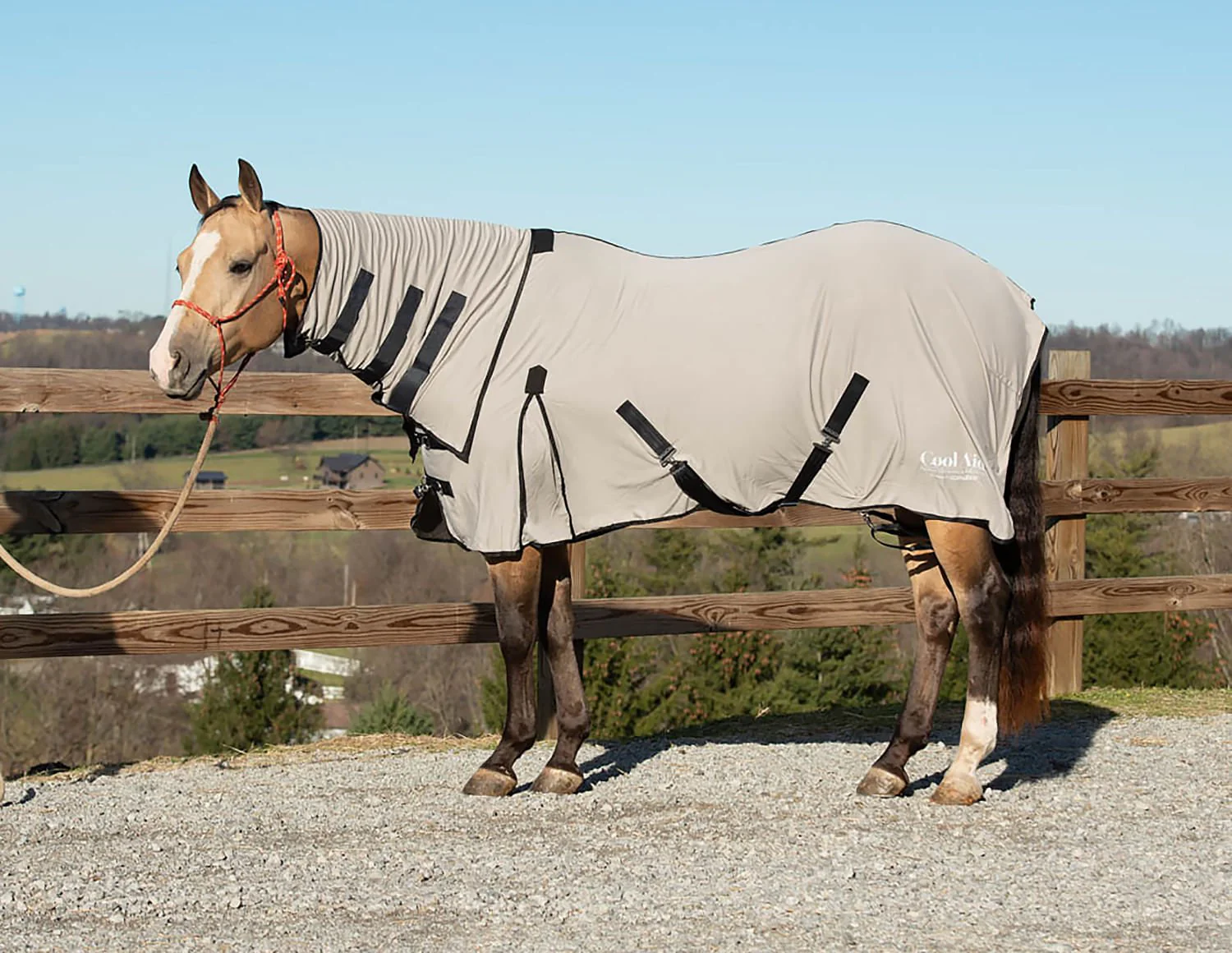 Coolcore Equine Cooling Blanket - Pet's Shop