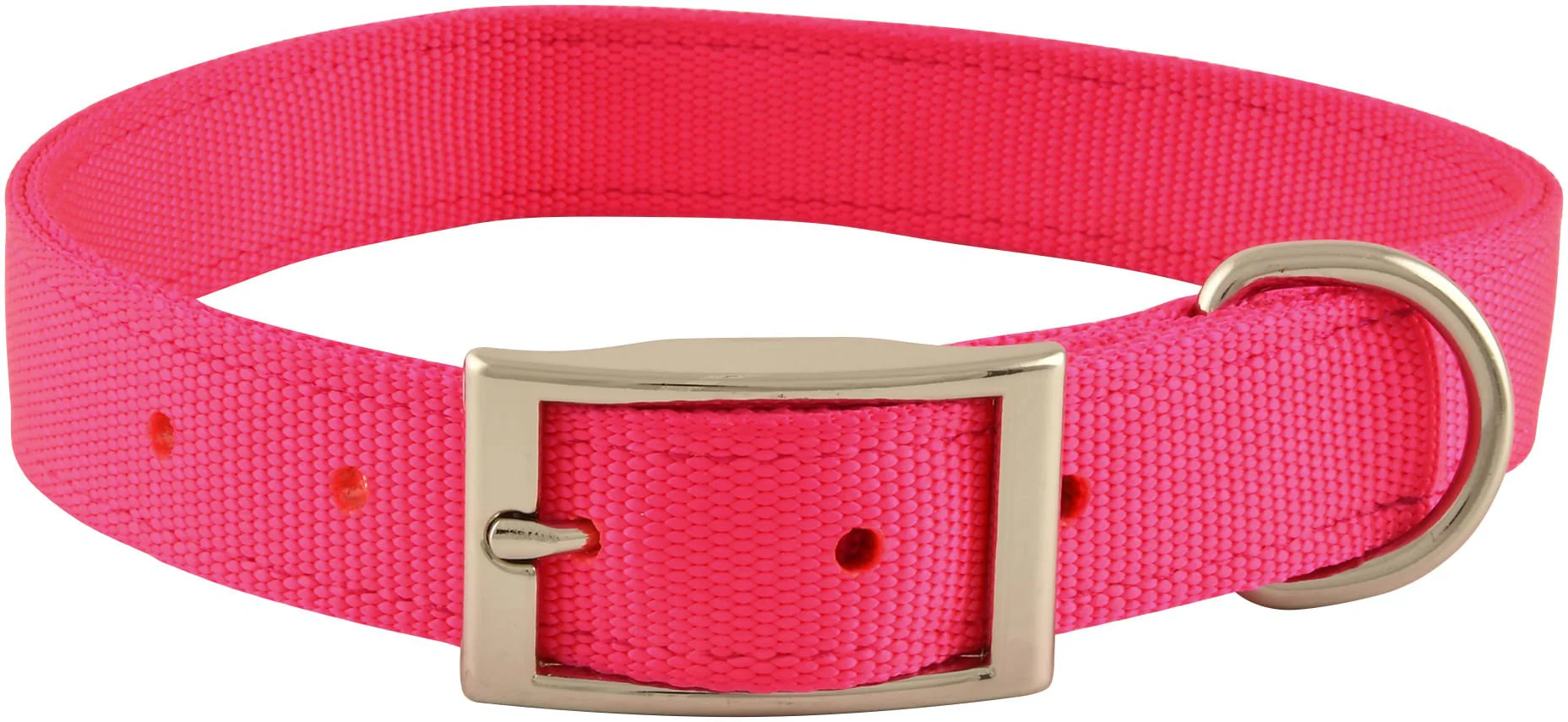 Solid Nylon Dog Collar, 1