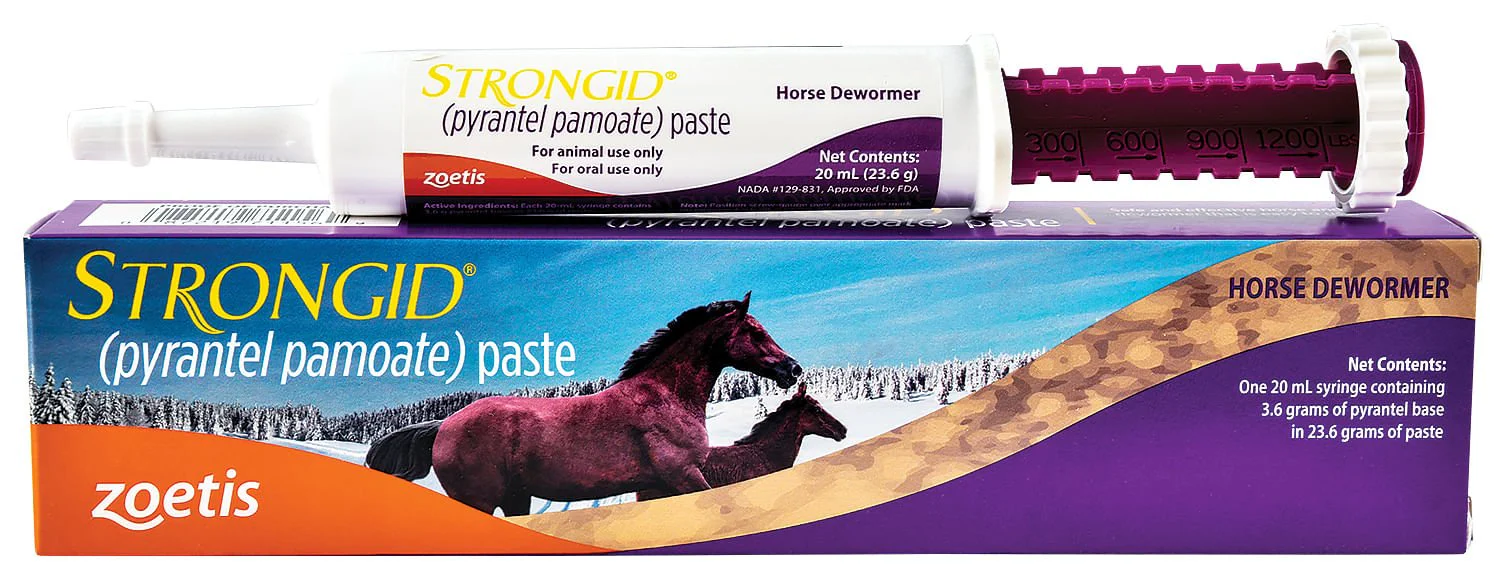 Strongid (pyrantel pamoate) Horse Dewormer - Pet's Shop