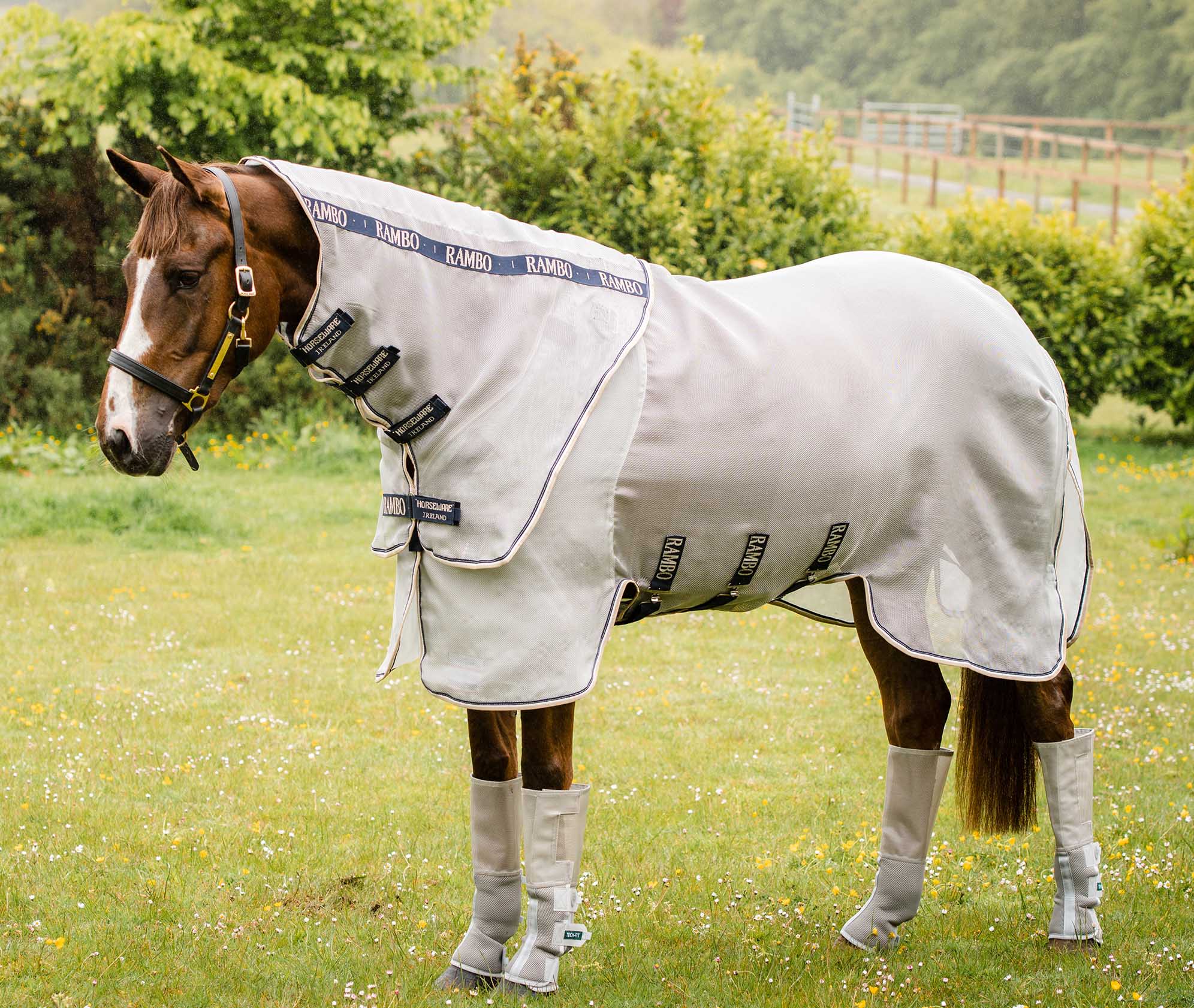 Rambo Protector Horse Fly Sheet - Pet's Shop