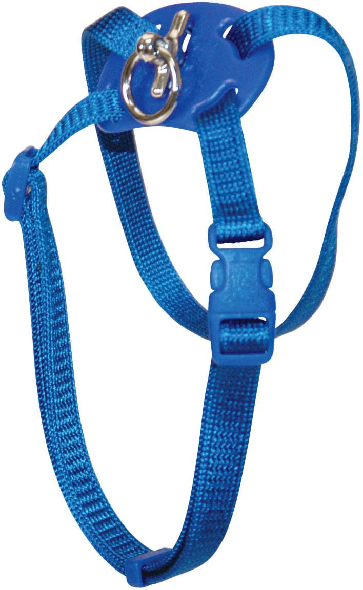 Size Right! Adjustable Cat Harness - Pet's Shop