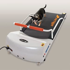 PetRun Toy Breed Treadmill (PR700) - Pet's Shop