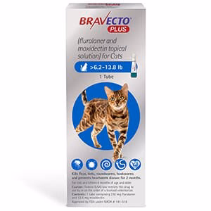 Rx BRAVECTO Plus Topical, Cat - Pet's Shop