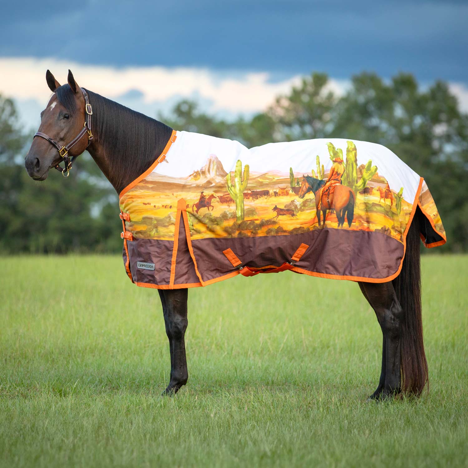 Expression 1200 Denier Standard Neck Turnout Blanket, 240 Gram, Cattle Drive - Pet's Shop