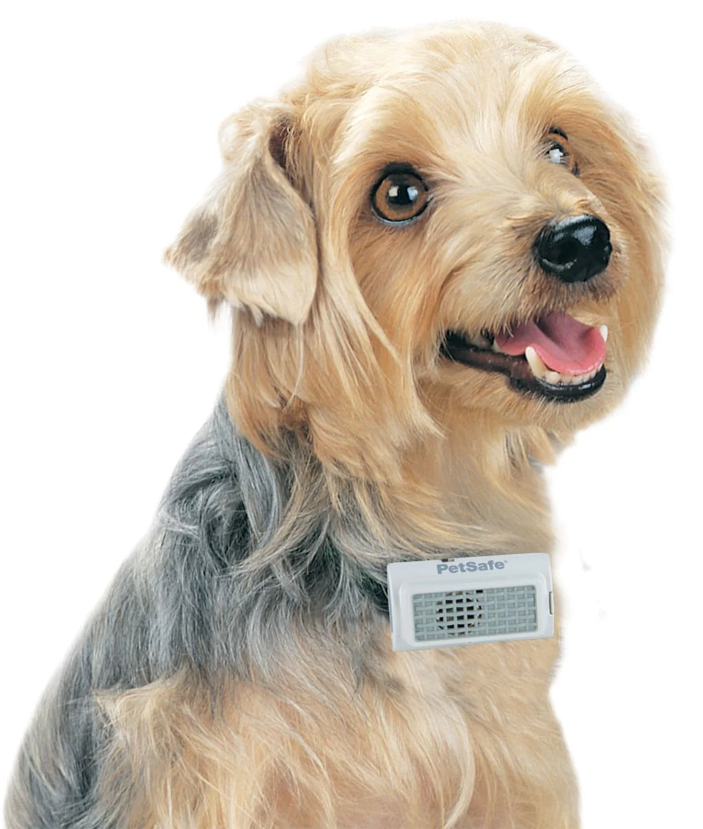 PetSafe Ultrasonic Bark Control Collar - Pet's Shop