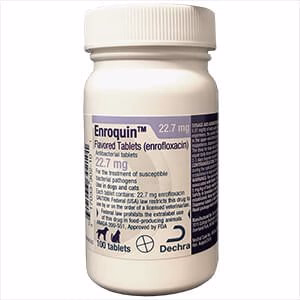 Rx Enroquin (enrofloxacin) Tablets for Dogs and Cats - Pet's Shop