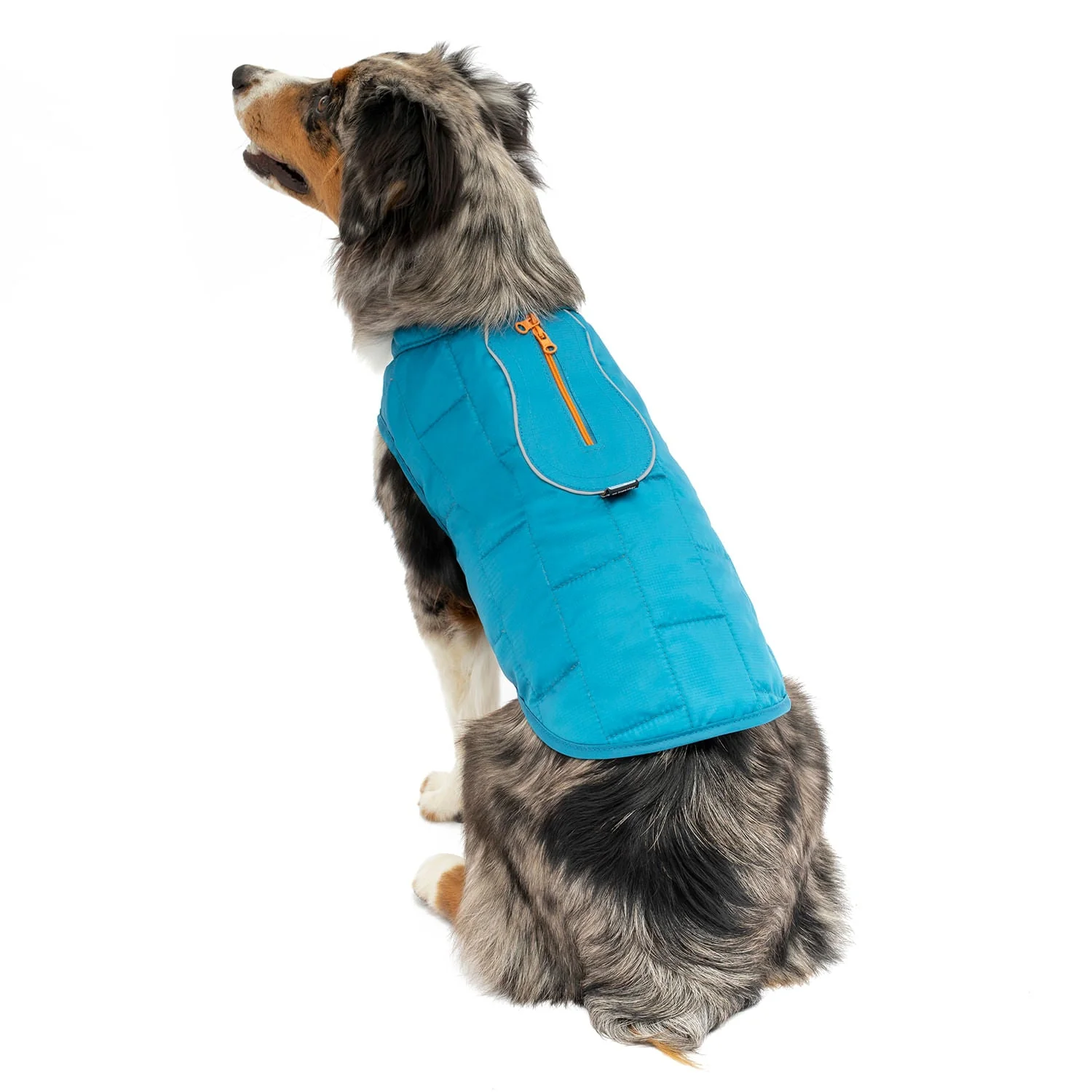 Kurgo Reversible Loft Jacket - Pet's Shop