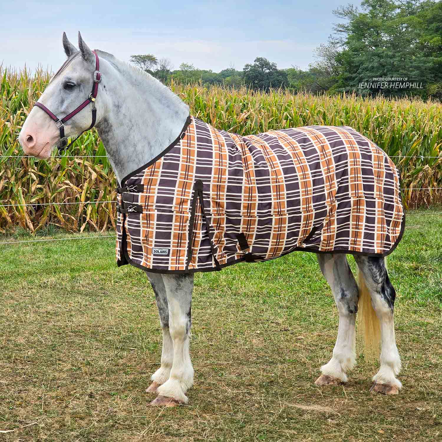 Solaris 1200D Draft Horse Turnout Blanket, 240g, Brown & Cream Plaid - Pet's Shop