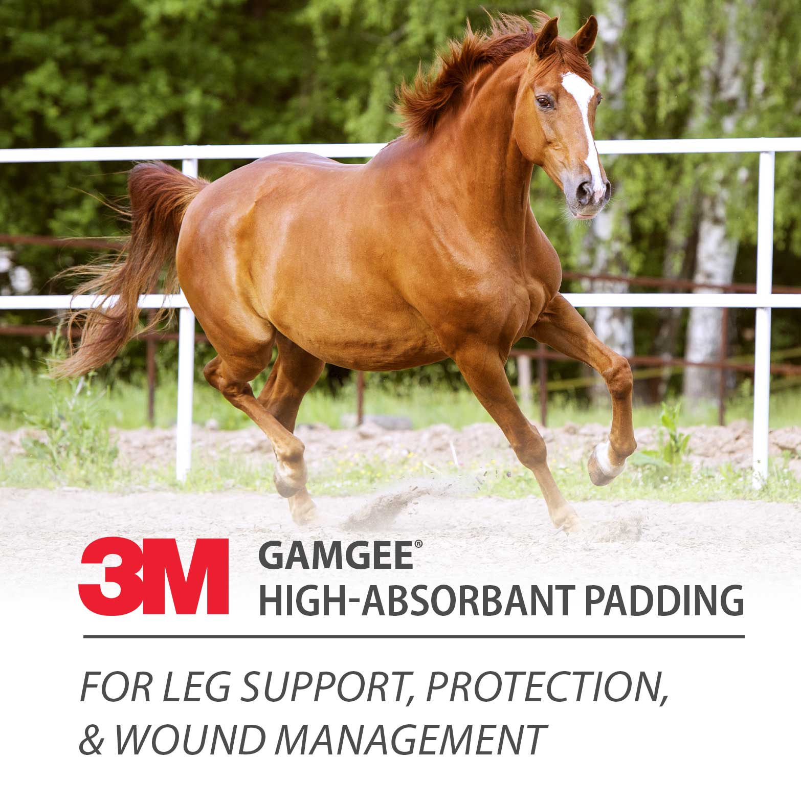 Gamgee Highly Absorbent Padding - Pet's Shop