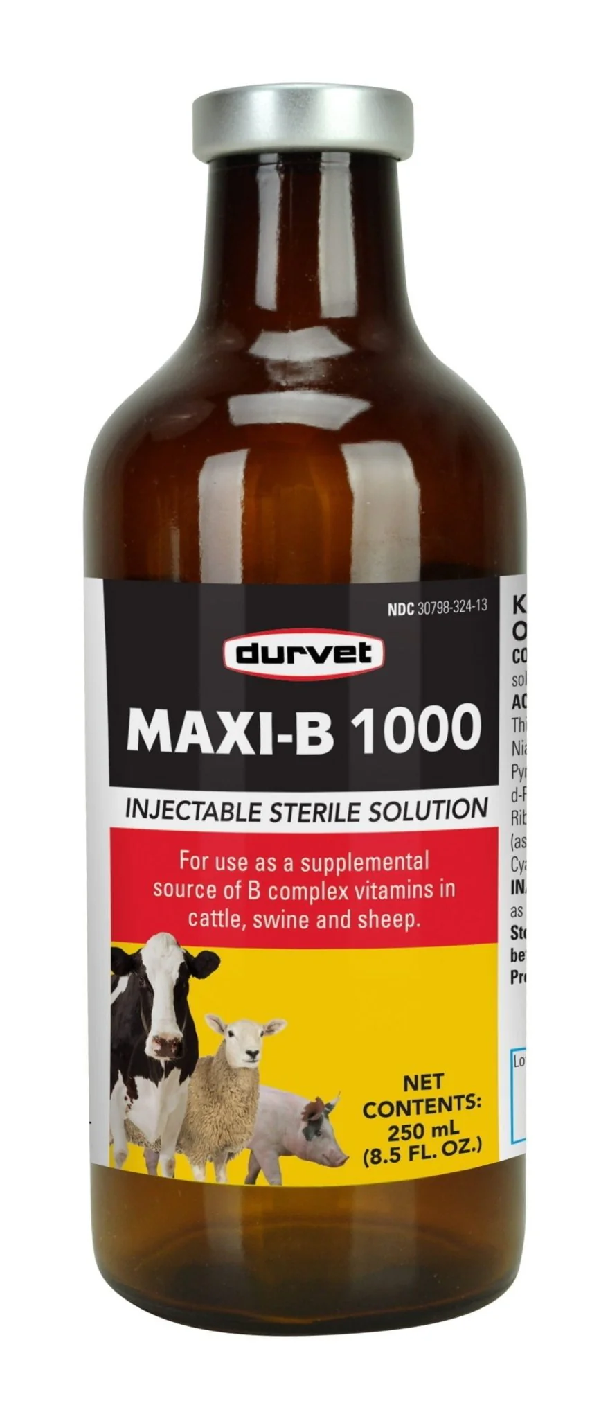 Maxi B 1000, 100 ml - Pet's Shop