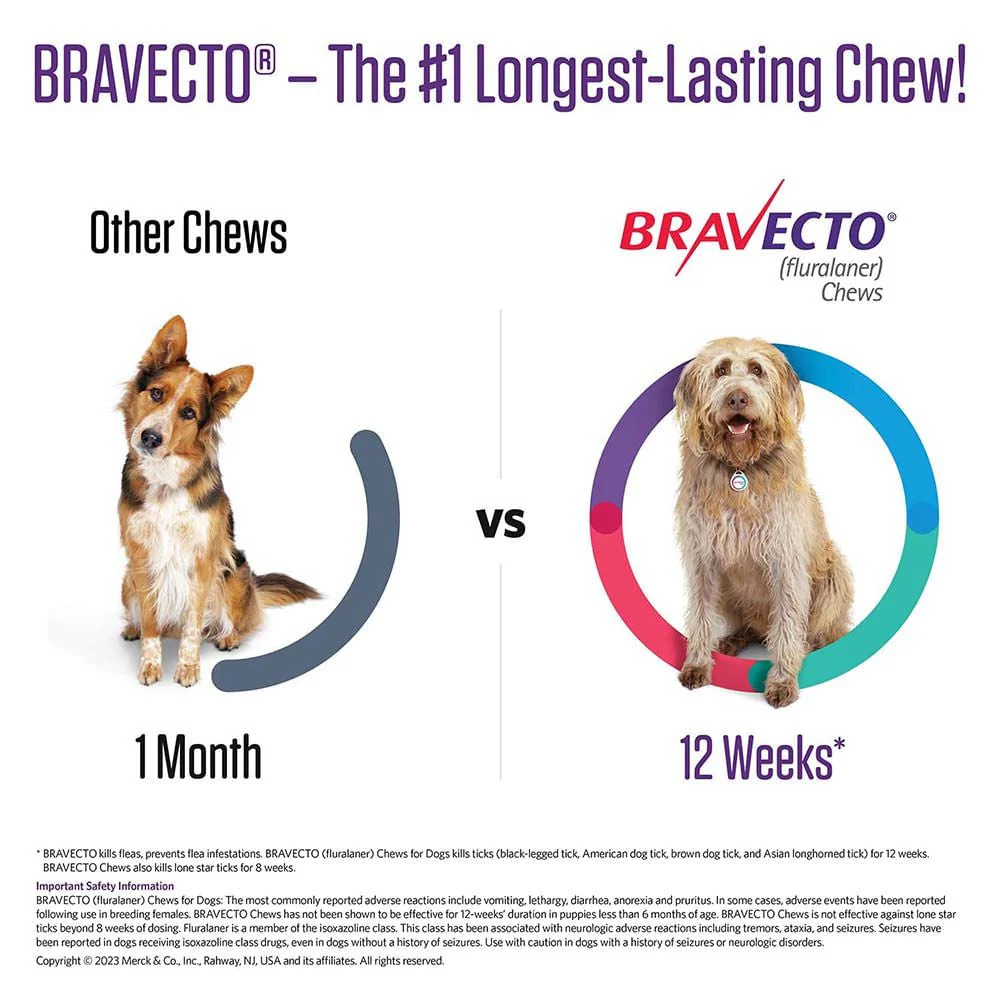 Bravecto Chews for Dogs (Fluralaner), 1 Chew - Pet's Shop