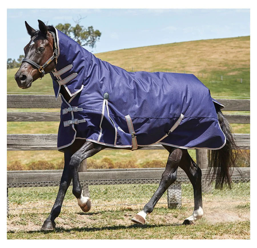 WeatherBeeta ComFiTec Essential Combo Neck Medium Weight Horse Blanket - Pet's Shop