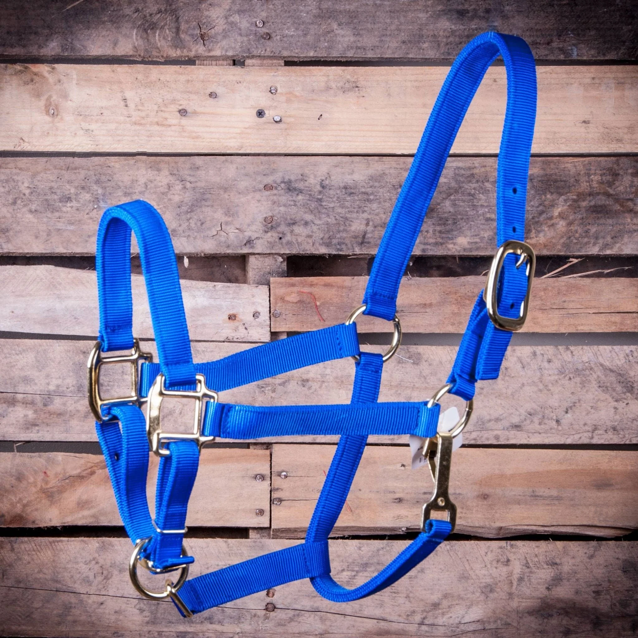 Adjustable Halter with Throat Snap - Pet's Shop