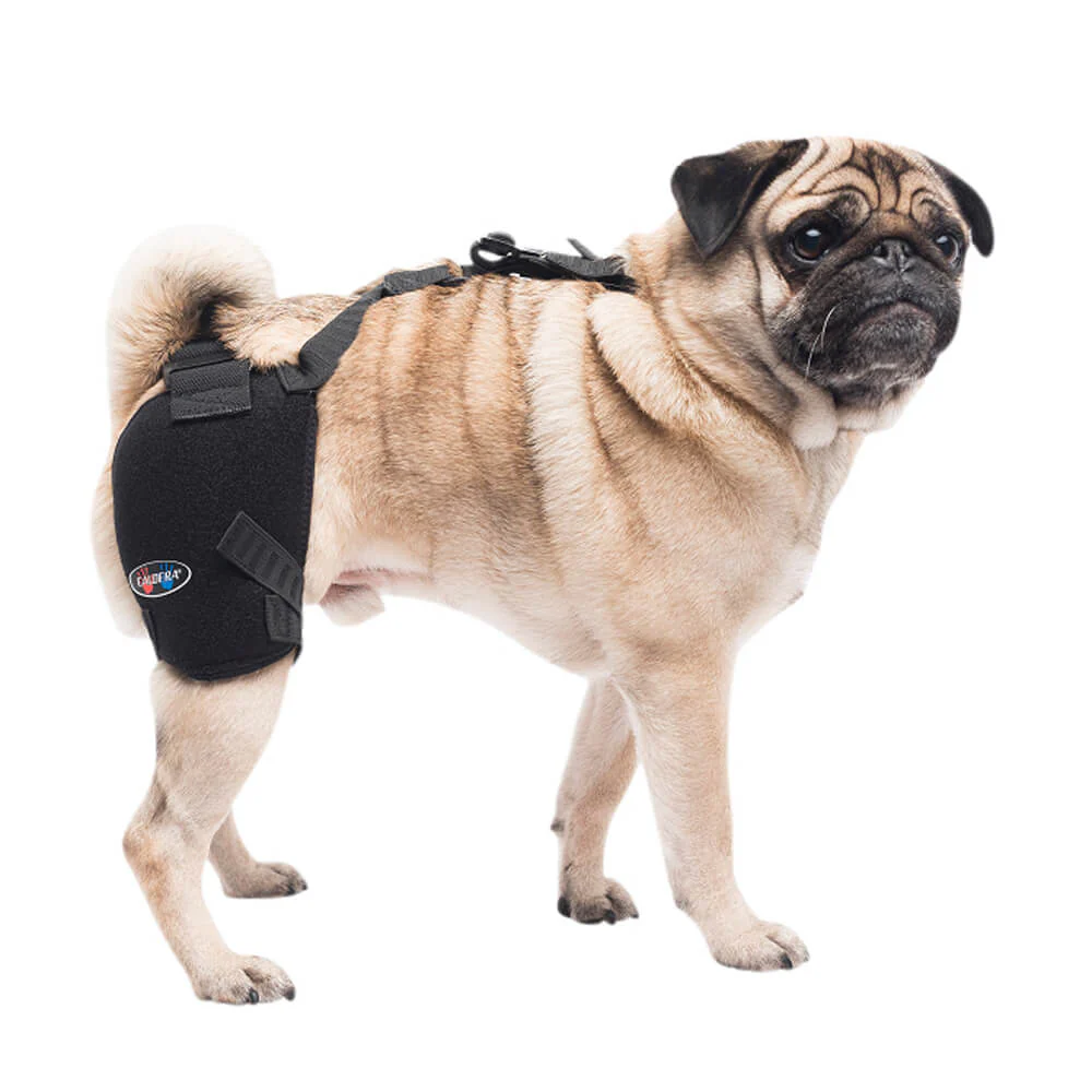 Caldera Pet Therapy Hip Wrap with Therapy Gel - Pet's Shop