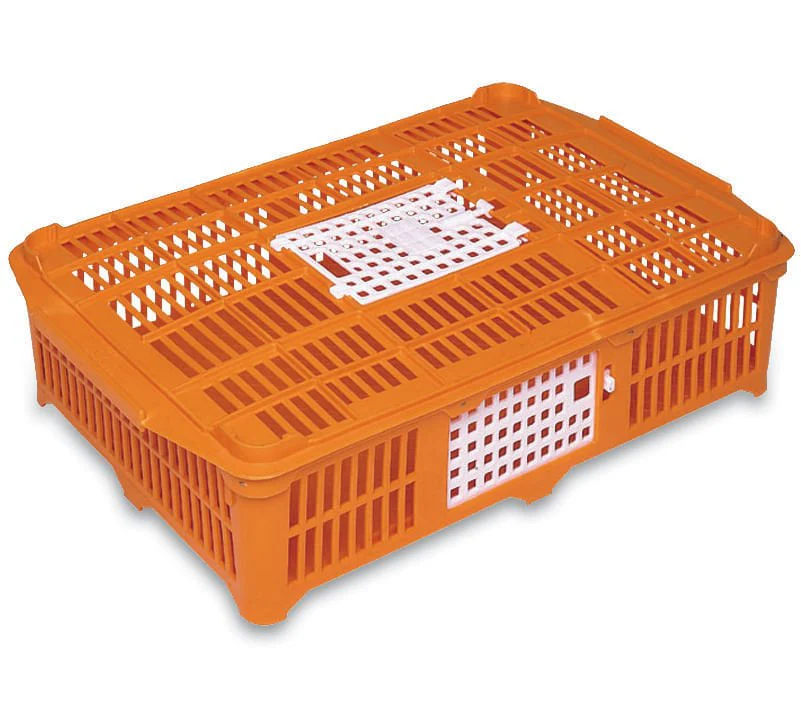 Small Poultry Shipping Crate - Pet's Shop