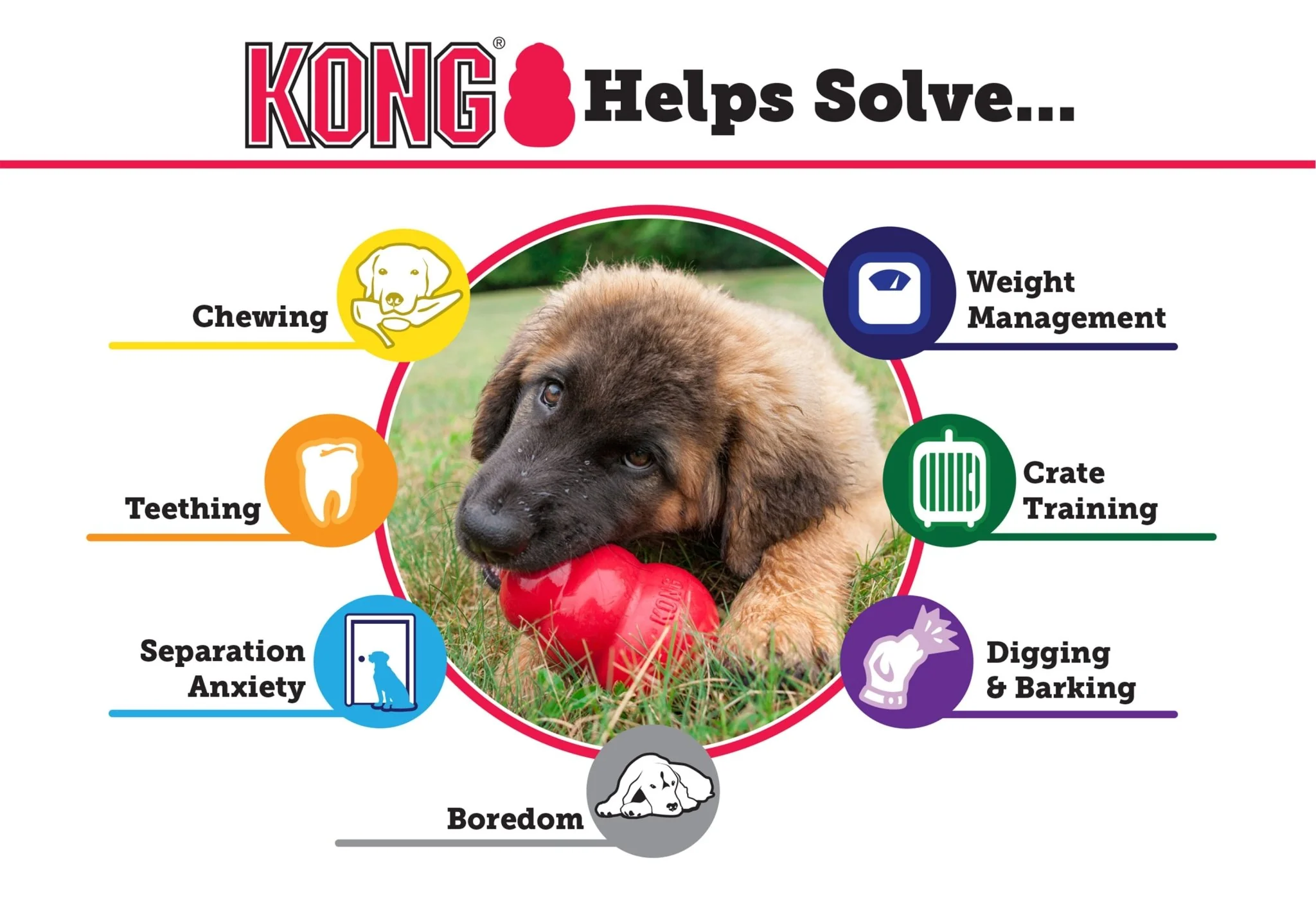 KONG Extreme Dog Toy for Power Chewers - Pet's Shop