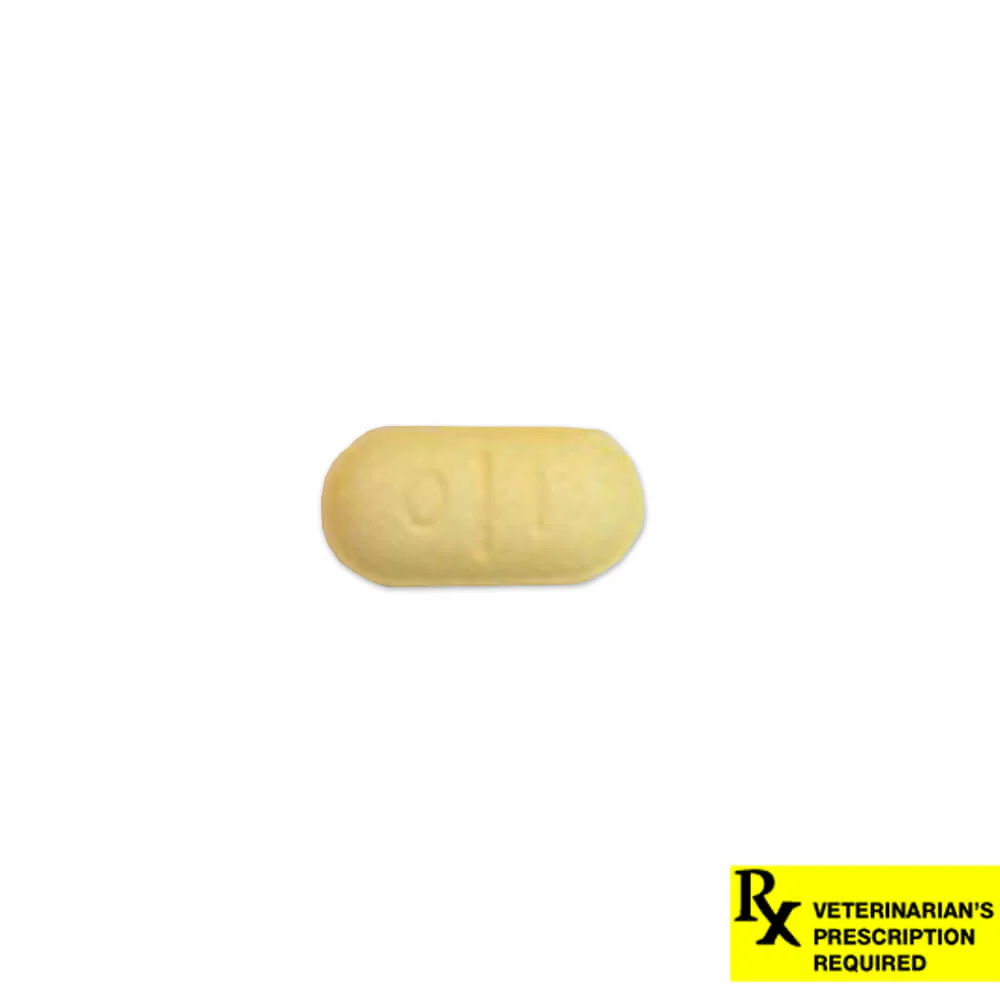 Rx Thyro-Tabs (levothyroxine sodium tablets) Tablets for Dogs - Pet's Shop