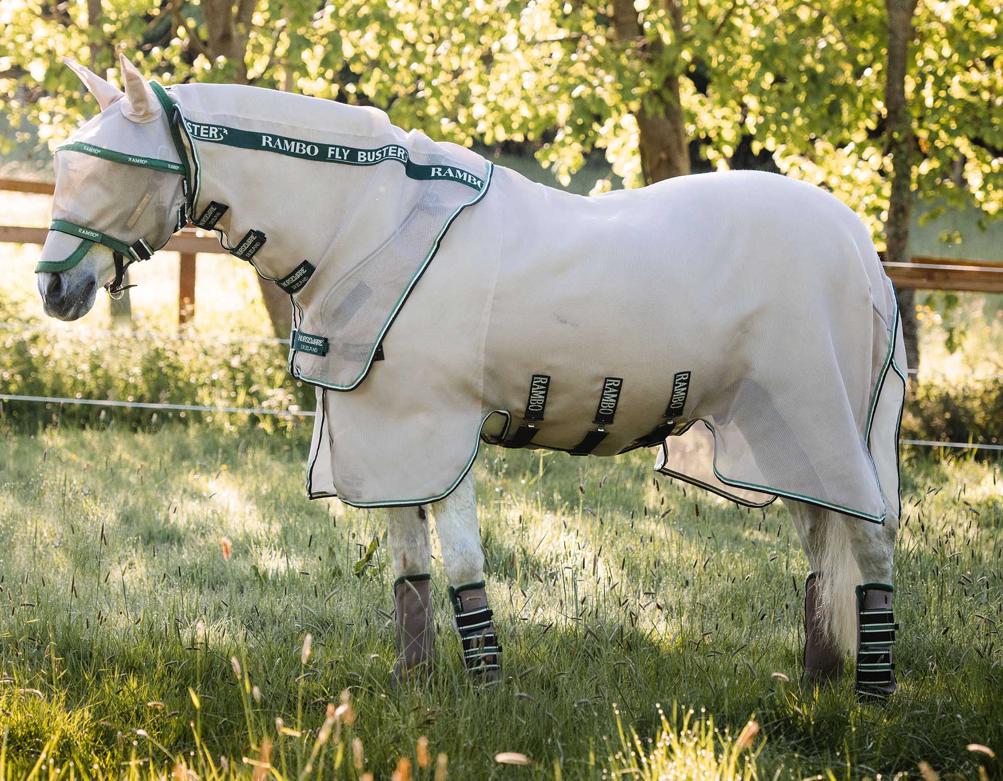 Rambo Fly Buster Vamoose with No-Fly Zone Horse Fly Sheet - Pet's Shop