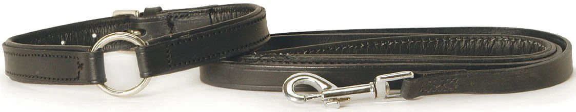 Padded Black Leather Dog Collars - Pet's Shop