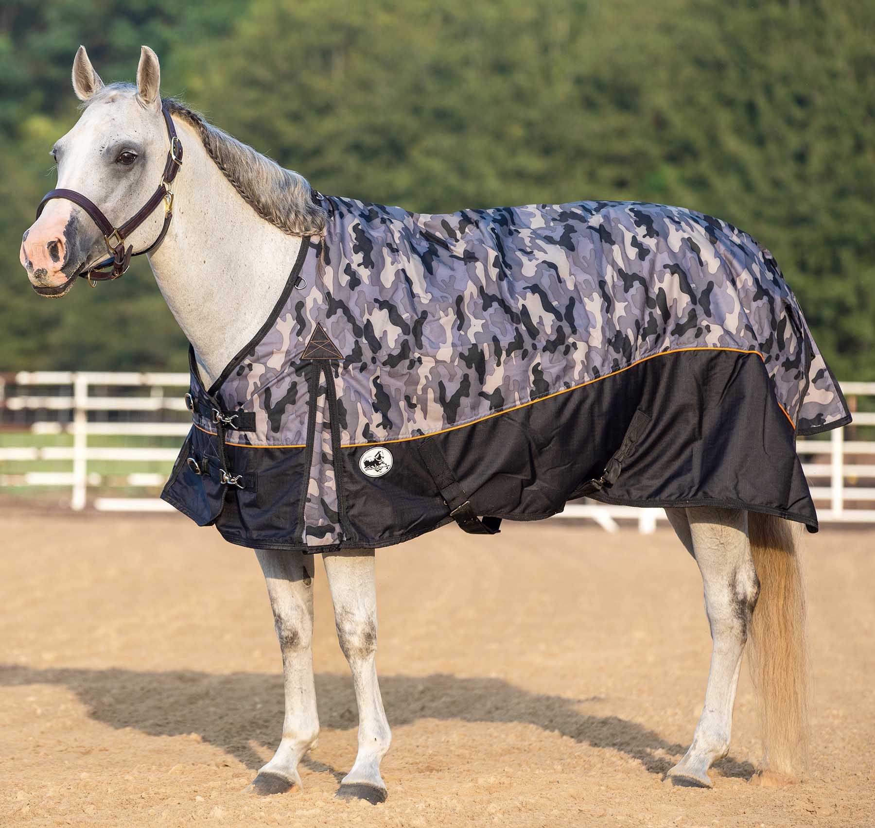 Economy Plus 1200 Denier Standard Neck Turnout Sheet, 0 Gram - Pet's Shop