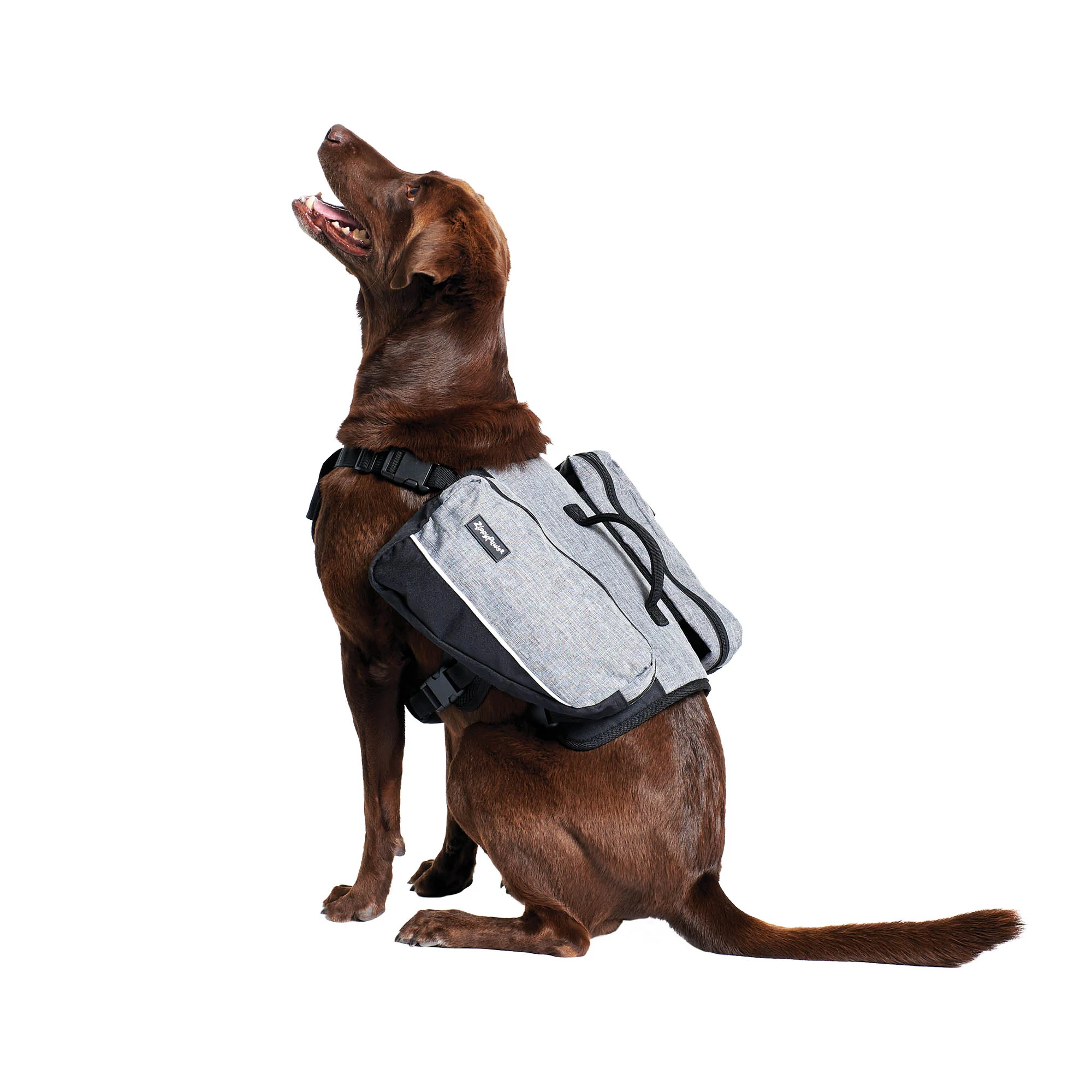 Zippy Paws Lightweight Adventure Backpack, Graphite - Pet's Shop