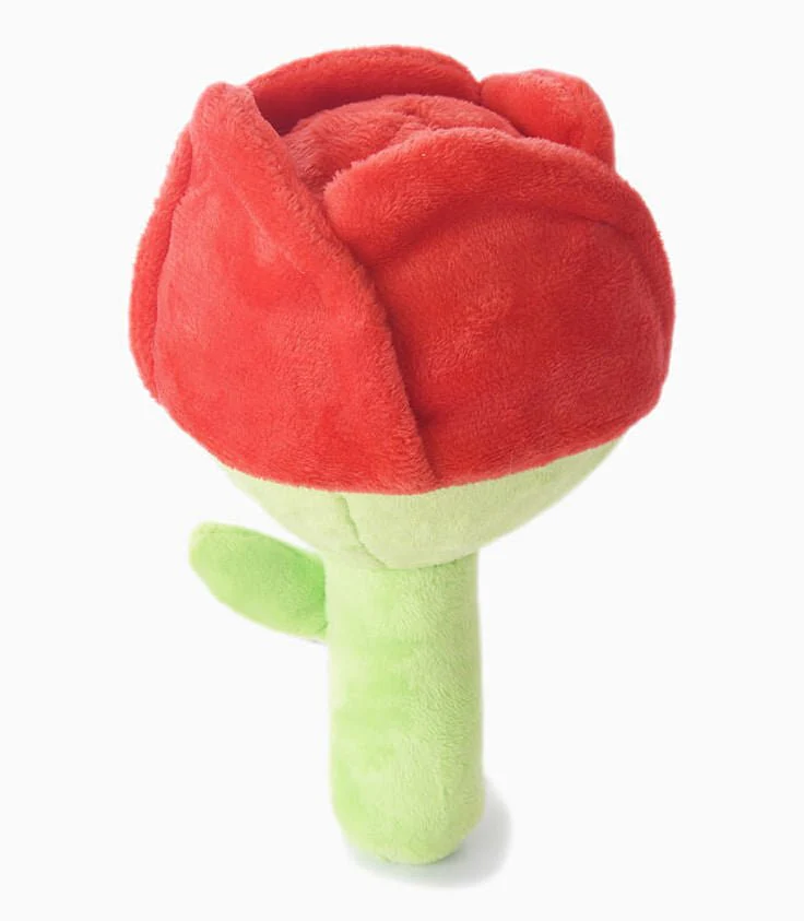 HugSmart Superball Rose Dog Toy - Pet's Shop