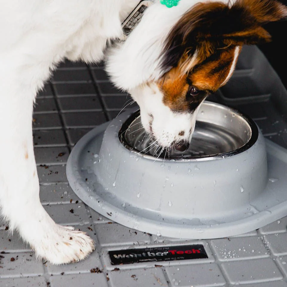 WeatherTech Single Low Pet Feeding System, Stainless Steel - Pet's Shop