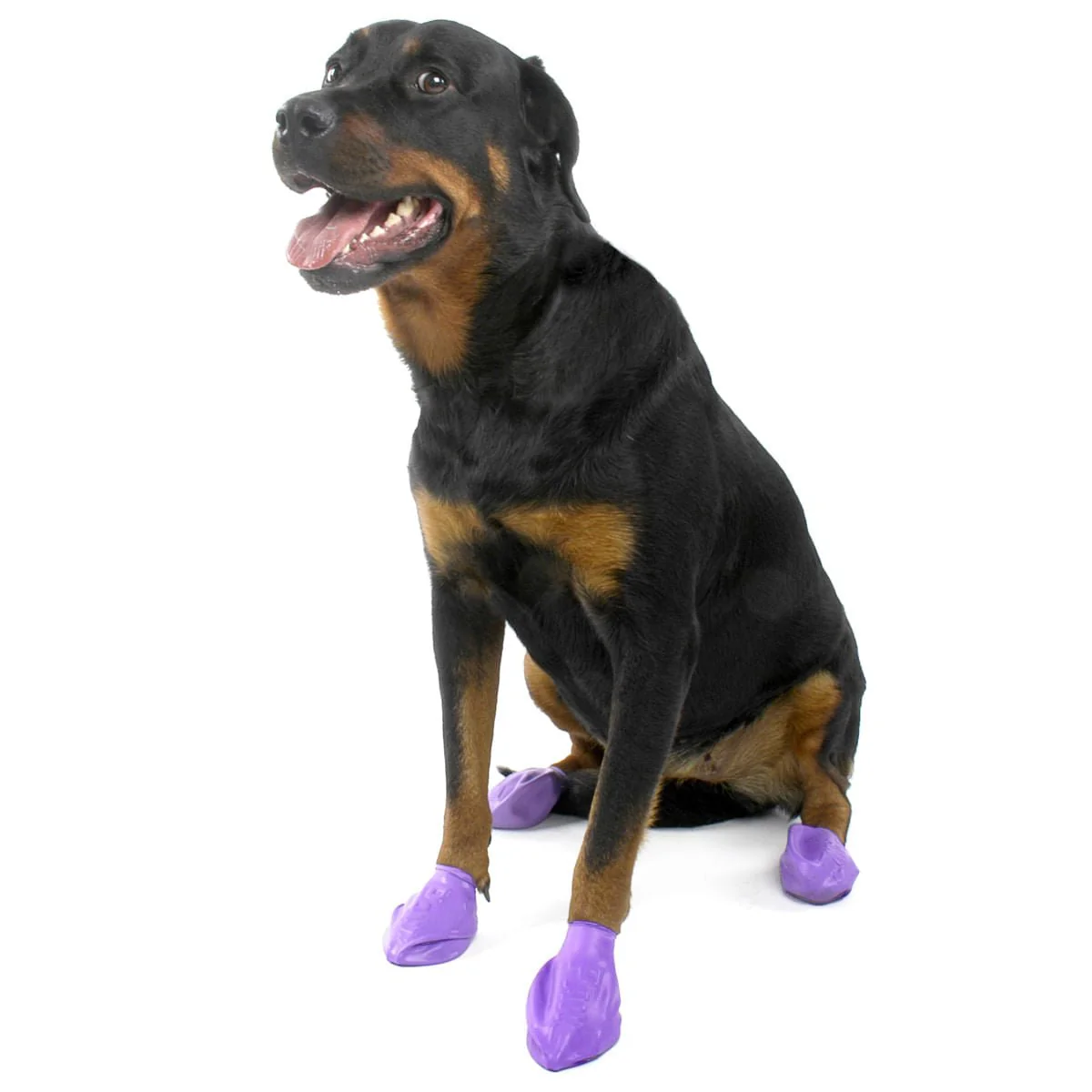 PawZ Dog Boots, 12 pk - Pet's Shop