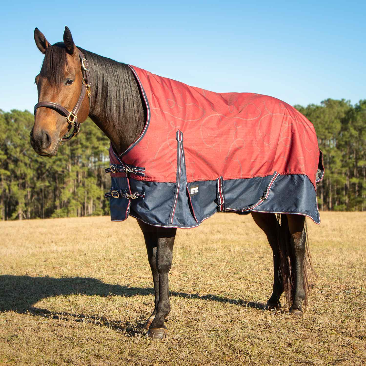 Poplar Head Uniquely English 1200 Denier Turnout Blanket with High Neck, 240 Gram, Merlot Snaffles & Irons - Pet's Shop