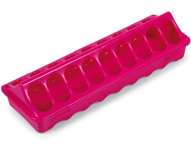 Ground Chicken Feeder, Medium - Pet's Shop