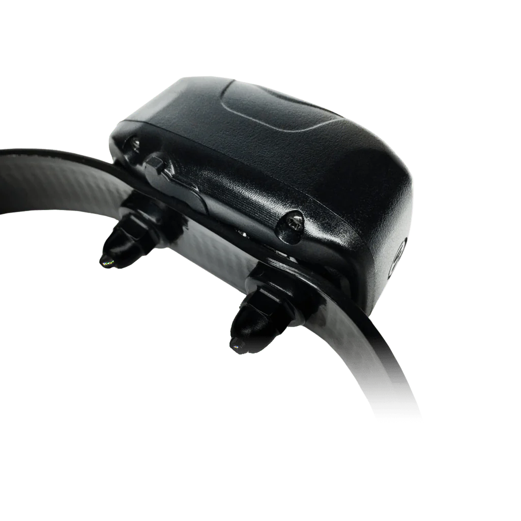 D.O.G DIrector 700, Add-On Collar - Pet's Shop