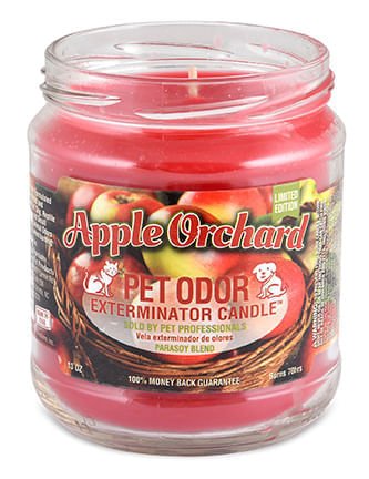 Pet Odor Exterminator Candle, Apple Orchard, 13 oz - Pet's Shop