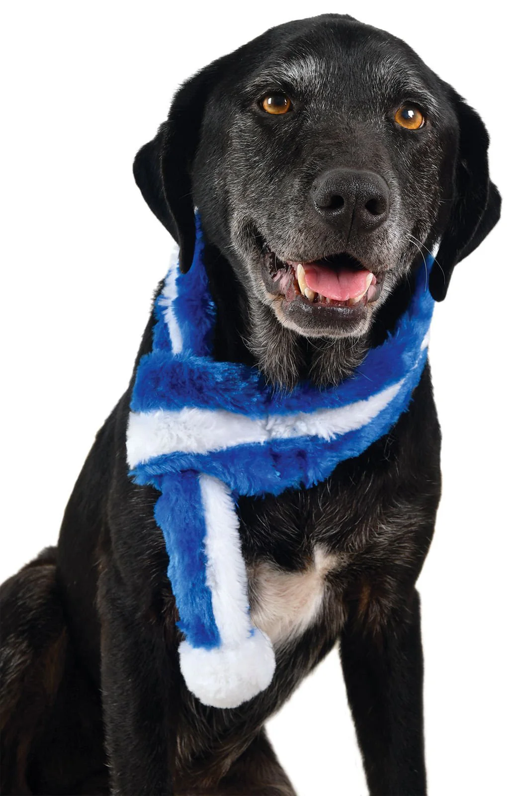 Zippy Paws Blue Scarf - Pet's Shop