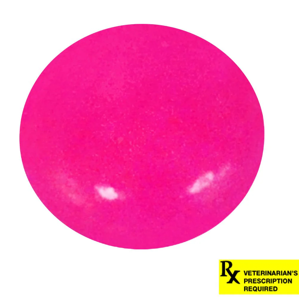 Rx Felimazole Tablets - Pet's Shop