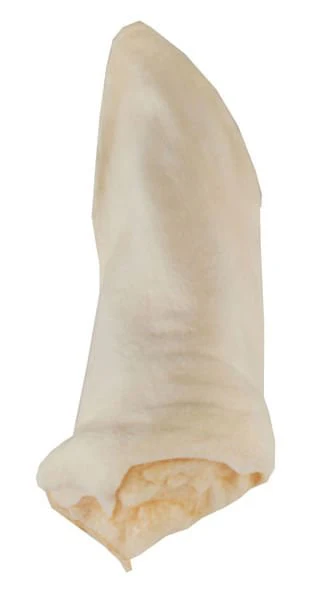 Lamzearz - Pet's Shop